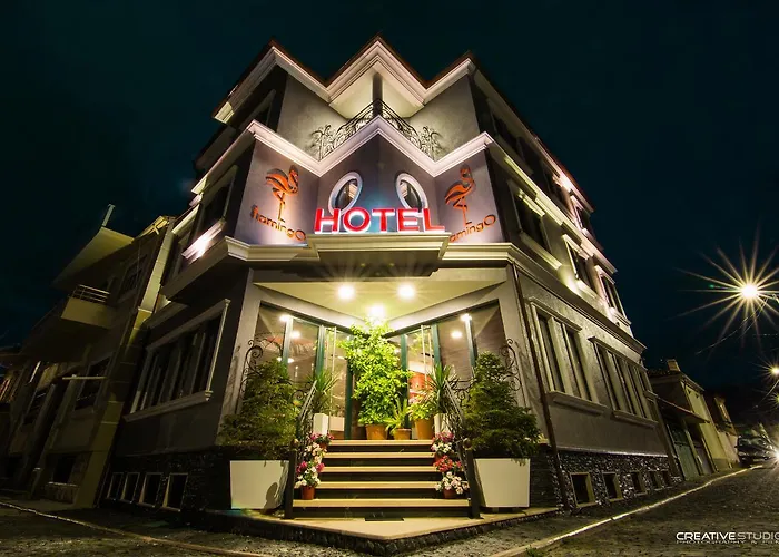 Hotel Flamingo