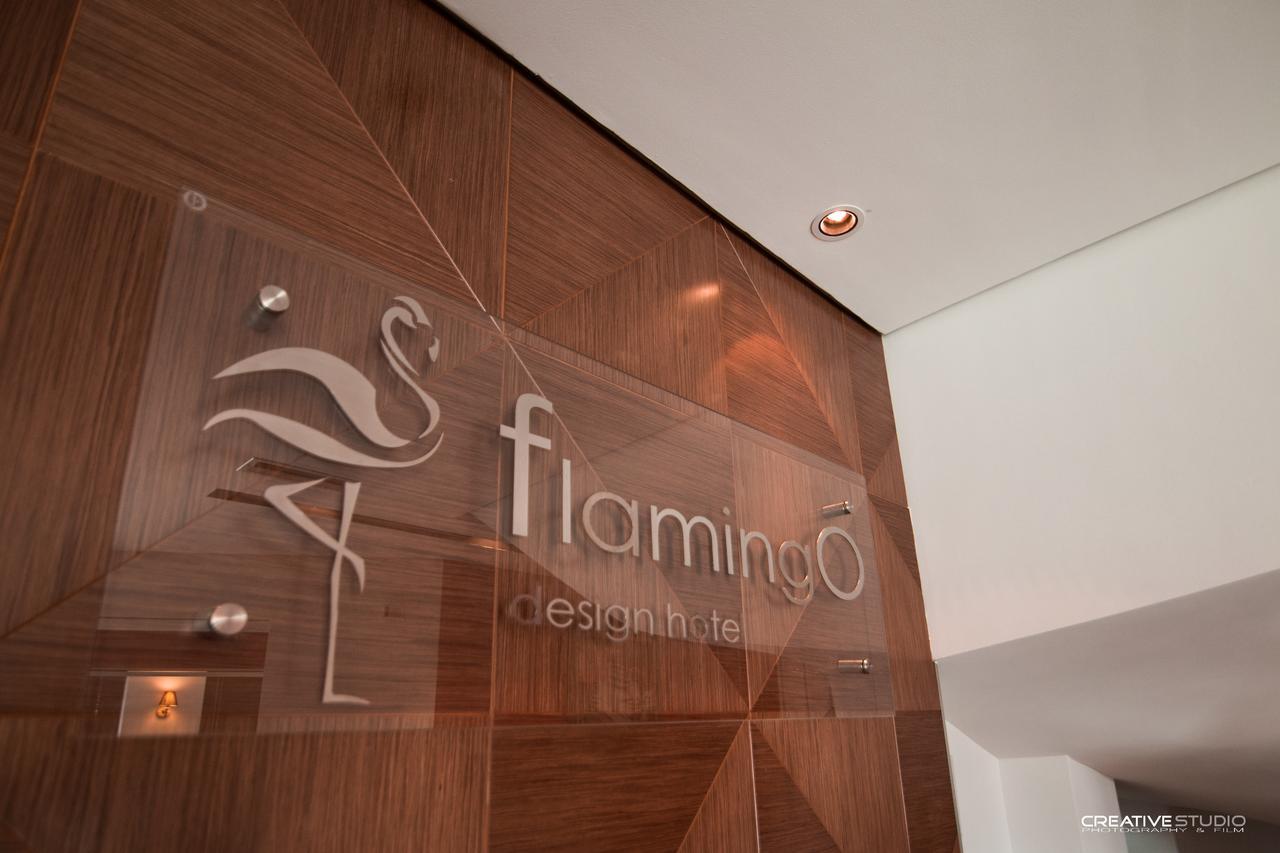 Flamingo Korce